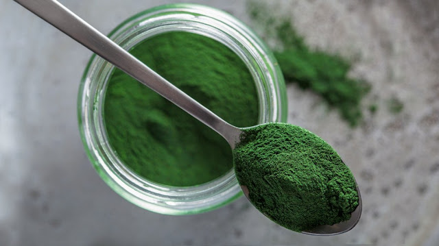 alga spirulina