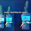 nikah şekeri fidanı