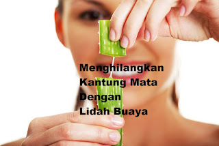 cara,menghilangkan,kantung mata,dengan,lidah buaya