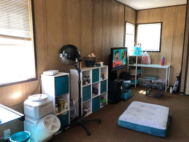 My She Shed Before and After + Tips for DIY Room Remodel on a Budget