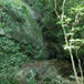 View album