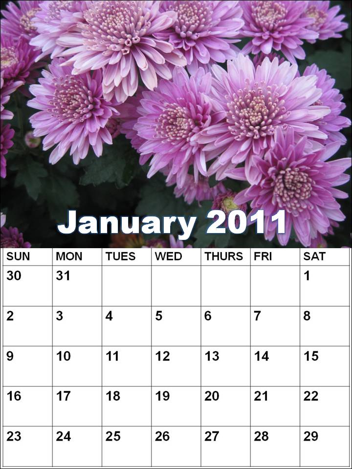 january 2011 calendar planner. january 2011 a calendar