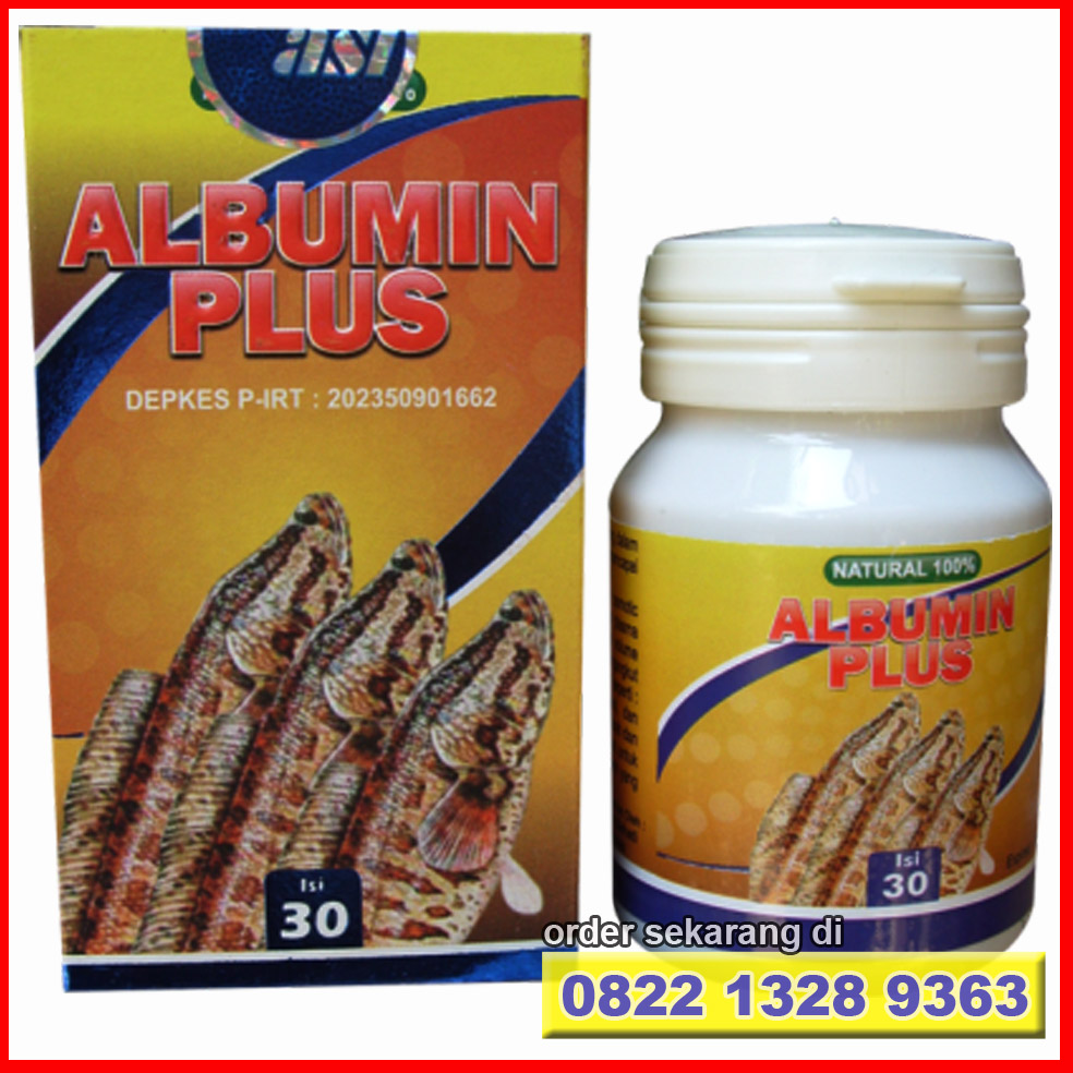 0823 3404 7371 Jual Albumin Ikan Gabus Kapsul Kutuk