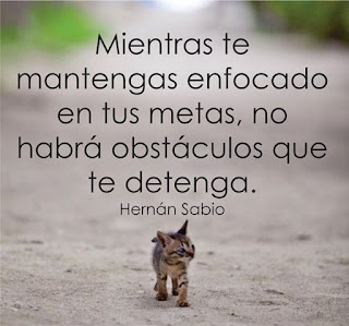 Enfoque Metas