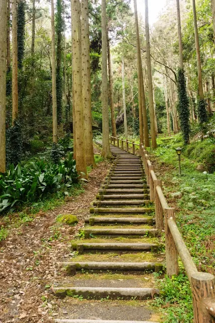 伏姫の籠穴～南房総市