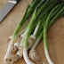Cream of Green Garlic and Potato Soup – The Young and the Cloveless