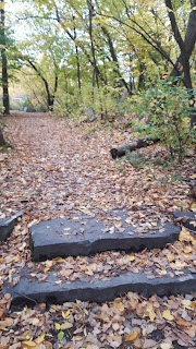 Sentier, feuilles mortes, l'automne, parc des Bateliers, Montréal