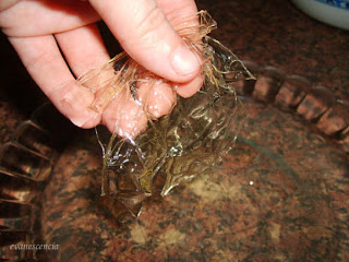 ablandar gelatina en agua