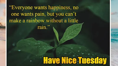 Tuesday Morning quotes Images