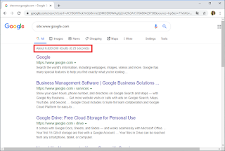 How to find out how many pages in Google Index?