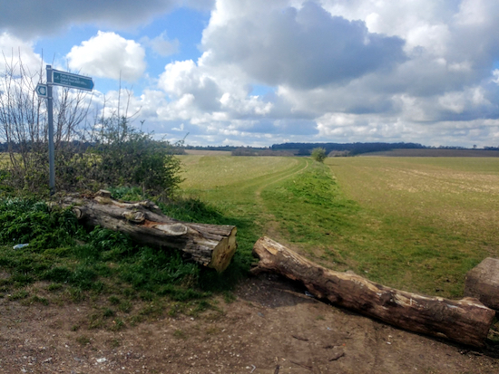 Clothall bridleway 5 after crossing Warren Lane