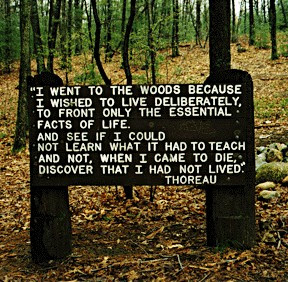 I went to the woods because I wished to live deliberately,  To front only the essential facts of life.  and see if I could not learn what it had to teach  and not, when I came to die, discover that I had not lived