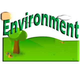 Nowadays the most important task is the environmental protection of our planet for future generations