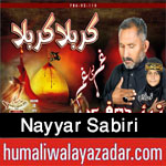 http://www.humaliwalayazadar.com/2017/10/nayyar-sabiri-nohay-2018.html