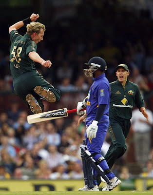 Brett Lee Wallpapers