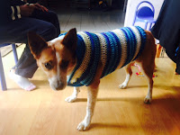 Sweet Nothings Crochet free crochet pattern blog, photo of the dog wearing her coat