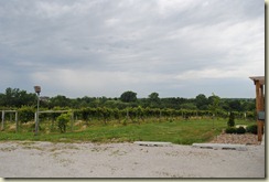 Two Saints Winery, St. Charles, IA, 3 July 2011