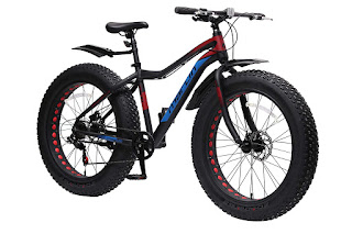 Alloy fat bikes India