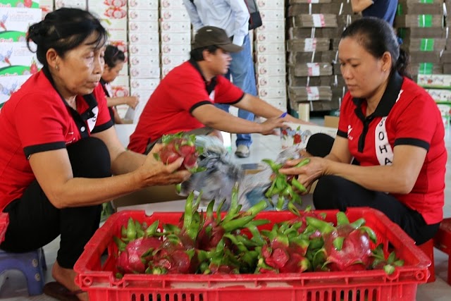 Báo Hải quan tổ chức tọa đàm “Tìm giải pháp thúc đẩy xuất khẩu nông, thủy sản Việt Nam”