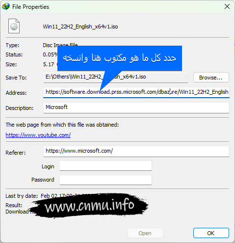 Internet Download Manager