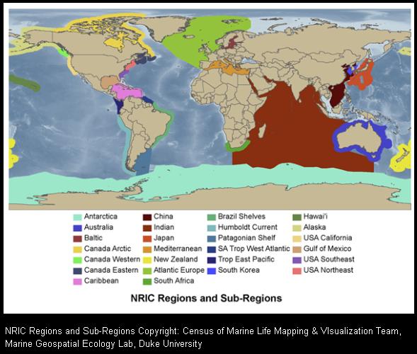 Wild Shores Of Singapore Census Of Marine Life It S A