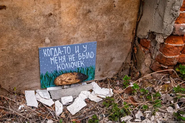 Арт с изображением ежа