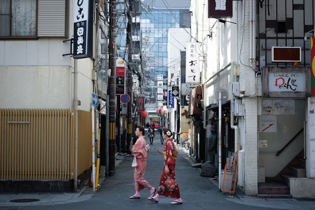 Fotografias destacam a beleza e variedade cultural do Japão