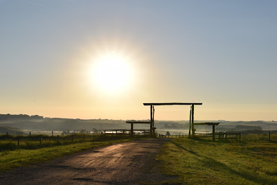 Sunrise Alberta Ranch.