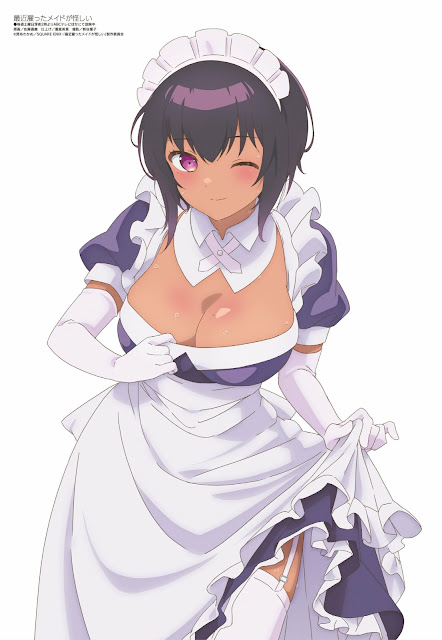 Megami Magazine: Sexy Maid!!!