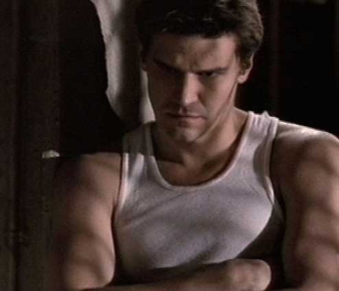 david boreanaz angel