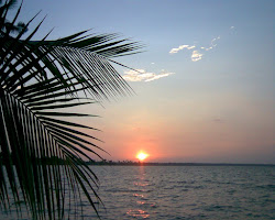 Backwater sunset