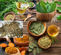 Resep masakan Herbal: beberapa tanaman herbal dapat ditambahkan ke dalam masakan sebagai bumbu atau rempah-rempah untuk meningkatkan rasa dan kandungan nutrisi.