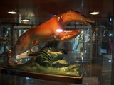 2013.08.20-012 musée