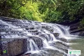 Waterfall Images Picture Download : Some of the Best Waterfalls in the World P - Waterfall Quotes, Rhymes, Poems, Status, Captions - Waterfall Captions - jorna niye status - NeotericIT.com - Image no 16