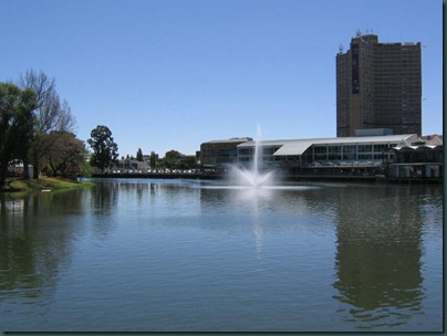 Bloemfontein and sunflower spirals 008