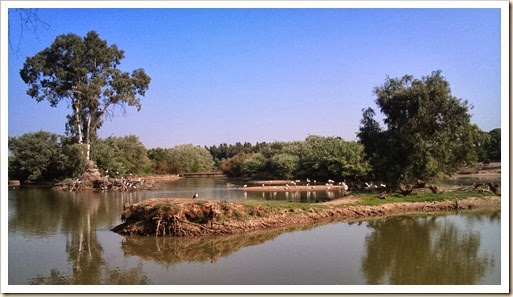 Cañada 2