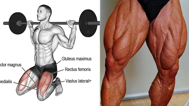 6 Exercises To Build Massive Legs
