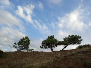 Μπουμπουτράχη Καλαμάκι Λαμίας