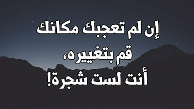 مقولات عن الحياة