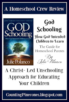 #hsreviews #GodSchooling #ChristianUnschooling #RelaxedHomeschooling