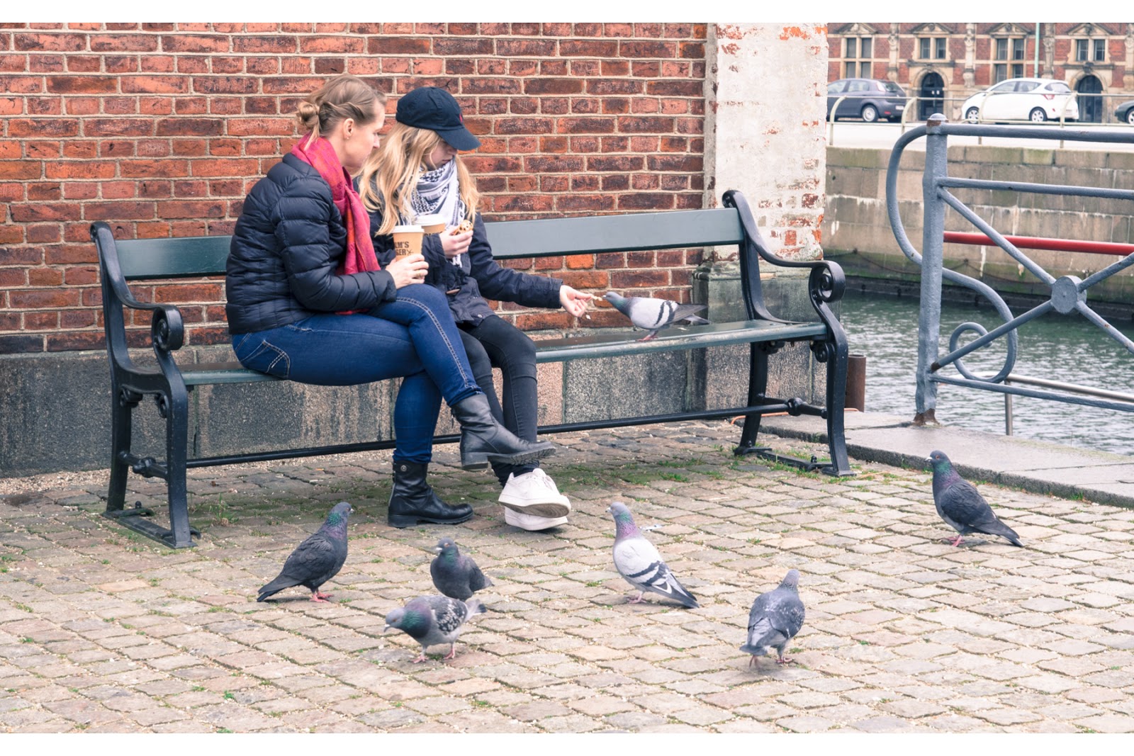 Feeding the Birds