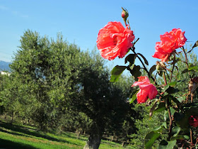 La Boella near Salou