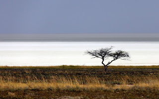 A sight of dry, hot and salt-encrusted Etosha pan over the parched savannah in Namibia – Heinrich Pniok – Free Art Licence