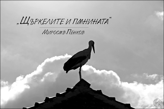 Щъркелите и планината, Мирослав Пенков