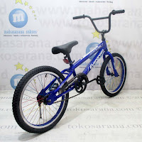 Evergreen BMX Torpedo