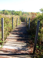 boardwalk