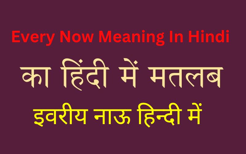 Every Now Meaning In Hindi.