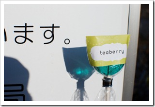 teaberry hiragana