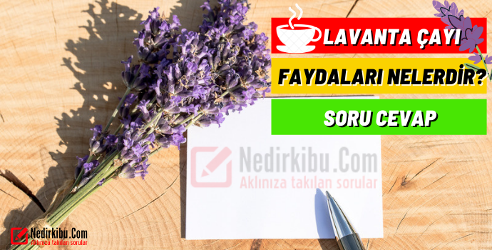 Lavanta Çayı Faydaları, Lavanta Çayı İle İlgili Merak Edilenler