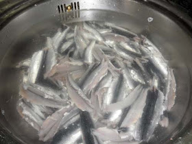 anchoas en agua,